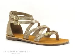 Tropeziennes PHARELL Beige Or - 23084 - Sandale Montante Tong -Skechers Boutique cd24607c73b9e66c561f35ea11d5d5ef img 2382.jpg 149331