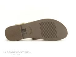 Tropeziennes PHARELL Beige Or - 23084 - Sandale Montante Tong -Skechers Boutique cd24607c73b9e66c561f35ea11d5d5ef img 2386.jpg 149328