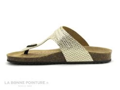 Geox D35LSK - BRIONIA Metal Lt Gold - Tong Femme Reglable Or 10 Geox D35LSK - BRIONIA Metal Lt Gold - Tong Femme Reglable Or -Skechers Boutique cd24607c73b9e66c561f35ea11d5d5ef img 7321.jpg 180617